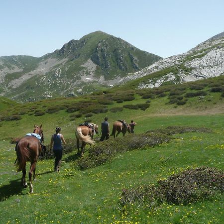 Agriturismo Bio-Ecologico Sant'Isidoro Roccaforte Mondovi Luaran gambar