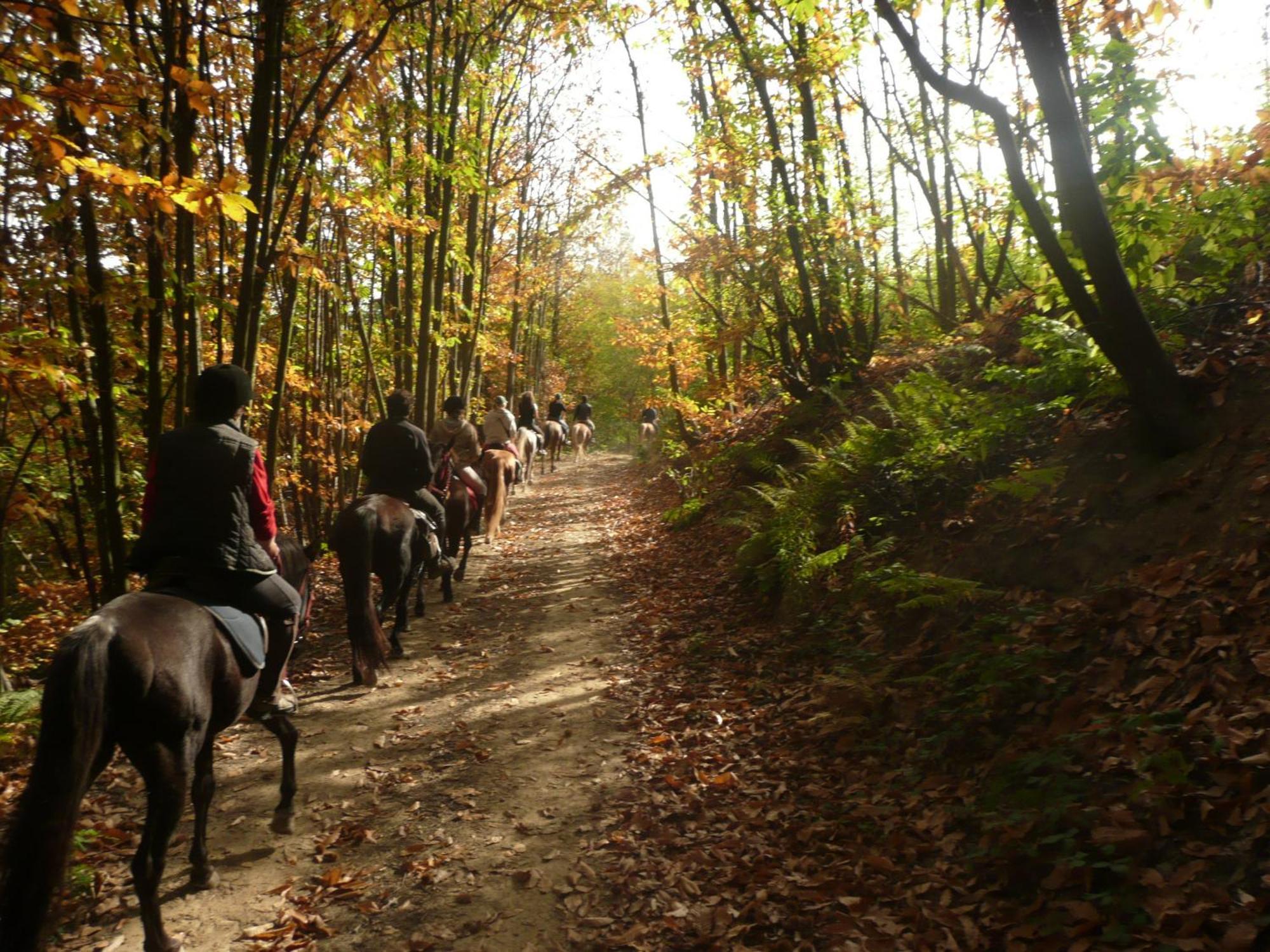 Agriturismo Bio-Ecologico Sant'Isidoro Roccaforte Mondovi Luaran gambar