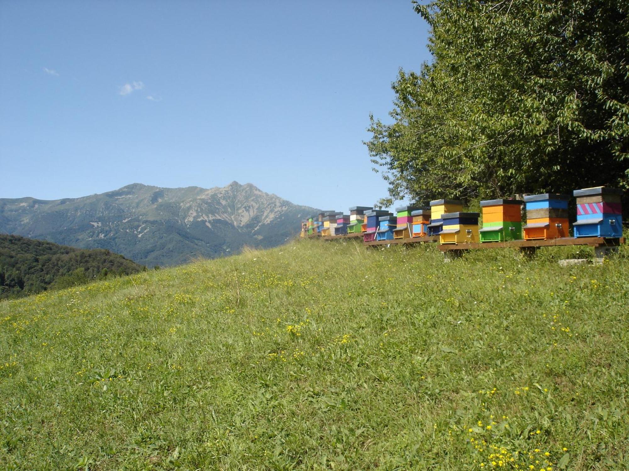 Agriturismo Bio-Ecologico Sant'Isidoro Roccaforte Mondovi Luaran gambar