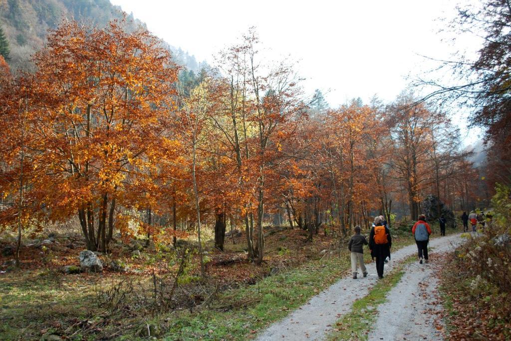 Agriturismo Bio-Ecologico Sant'Isidoro Roccaforte Mondovi Luaran gambar