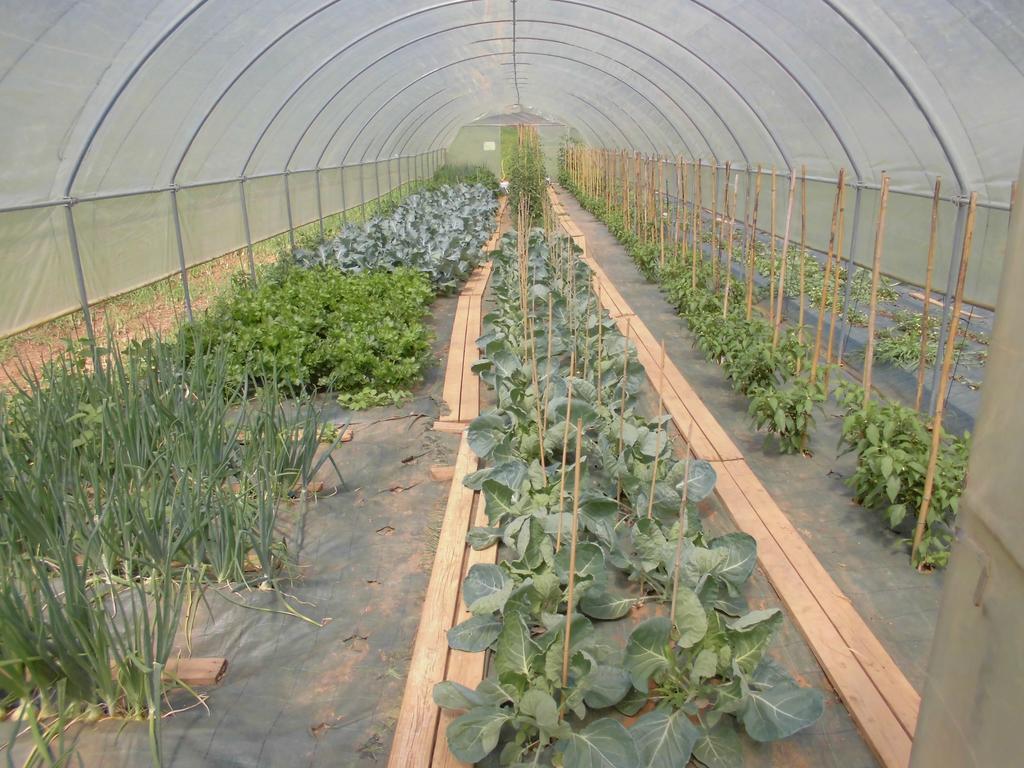 Agriturismo Bio-Ecologico Sant'Isidoro Roccaforte Mondovi Luaran gambar